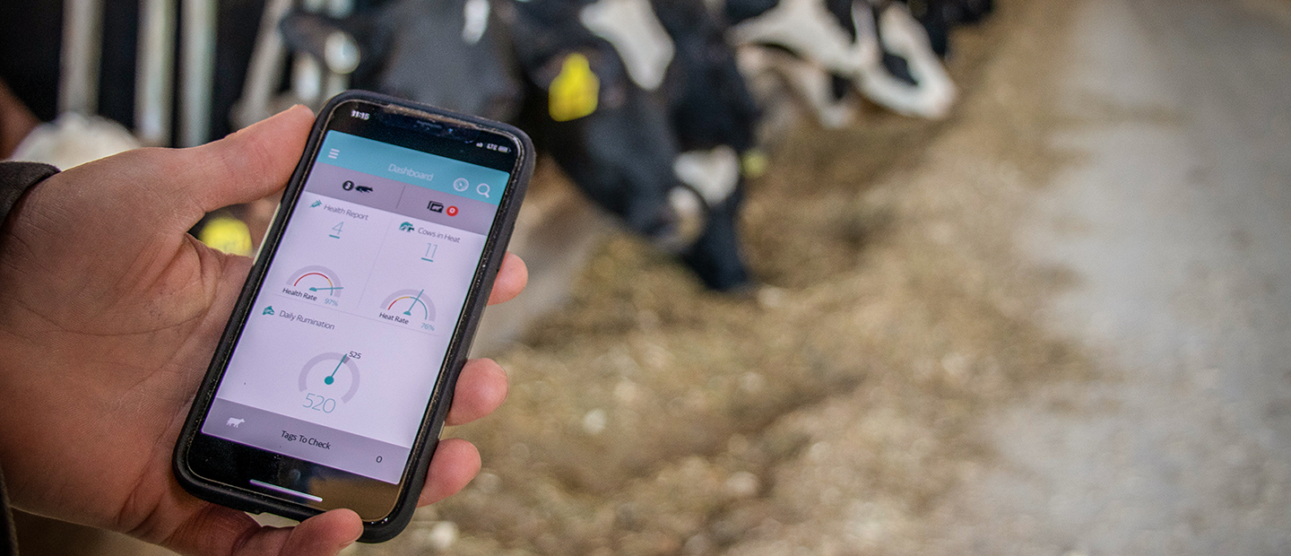 MSD Animal Health apresenta a próxima geração do software de monitorização SenseHub® Dairy